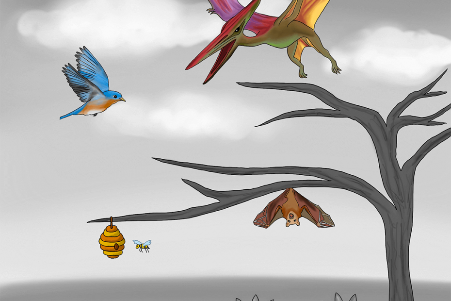 A pterodactyl, bird, bat, bee, and a butterfly are colourfully illustrated mid-flight. The background is entirely grey, and shows a tree and flowers in front of clouds.