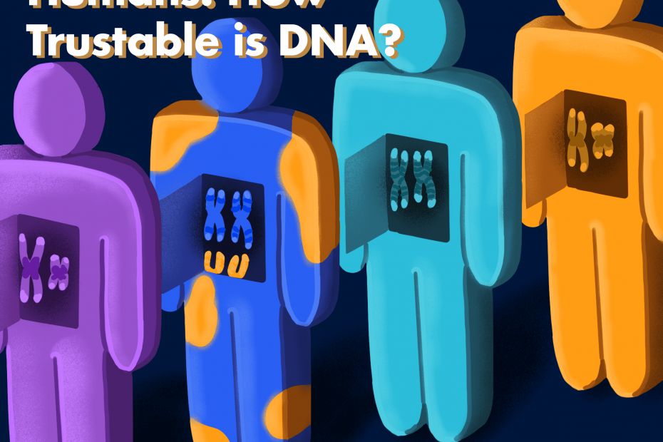 Four colourful cartoon people stand in a line, each with an opening inside their chest displaying a set of chromosomes. The second person in line has an additional set of chromosomes and patches of a different colour on their body, representing chimerism.