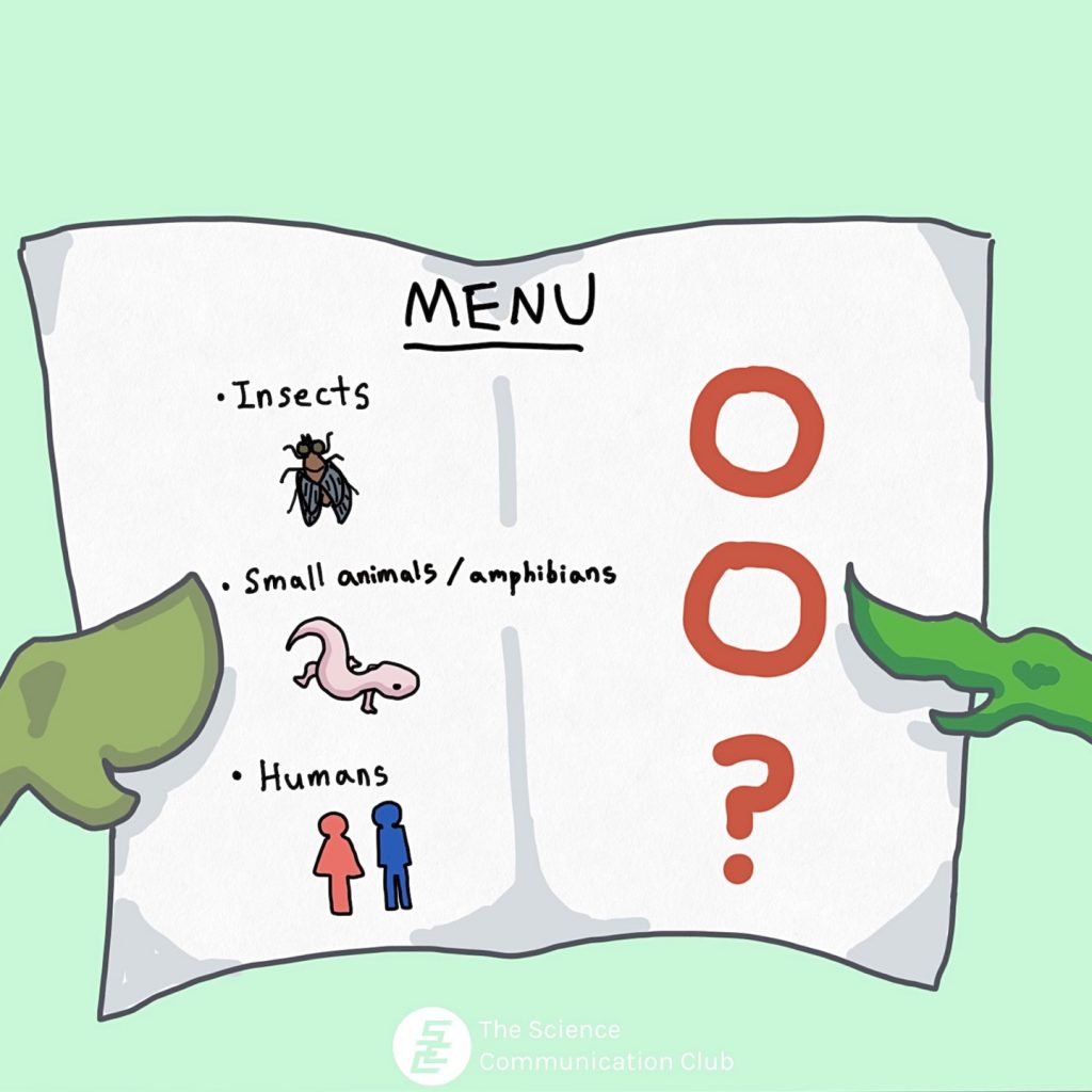 Carnivorous plants, with leaves as hands, are holding a menu that lists the words: insects, small mammals/amphibians, and humans, with a question mark next to the word human