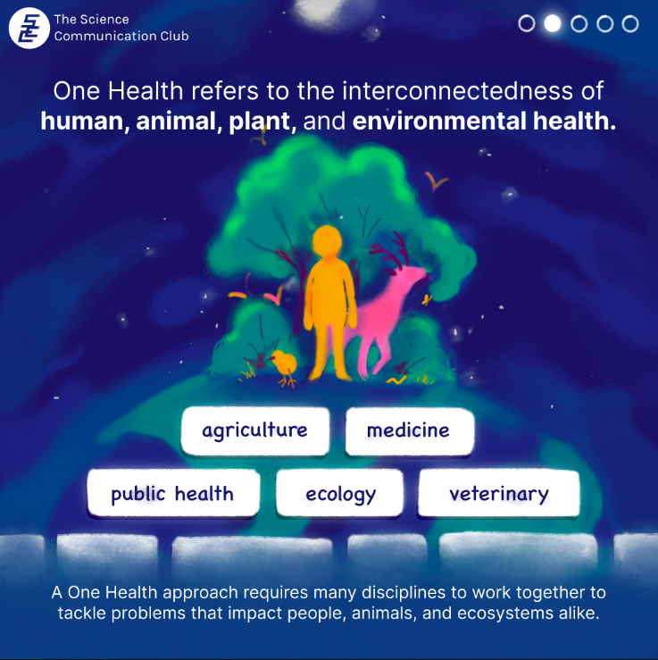 An illustration of humans, animals, and greenery standing on top of a globe. Disciplines, specifically agriculture, medicine, public health, ecology, and veterinary, cover the globe.