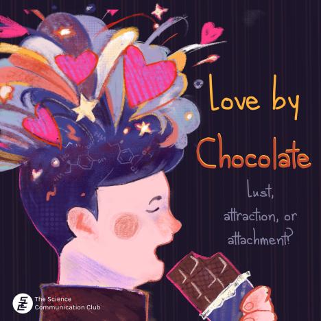 A person enjoying a chocolate bar and experiencing the feeling of love. Text written: "Love by chocolate - lust, attraction, or attachment?"