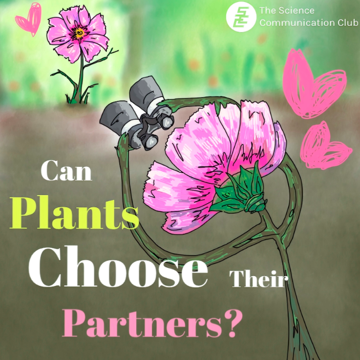 A pink flower spots its mate, which is another pink flower, with a binocular. Text written "Can Plants Choose Their Partners?"